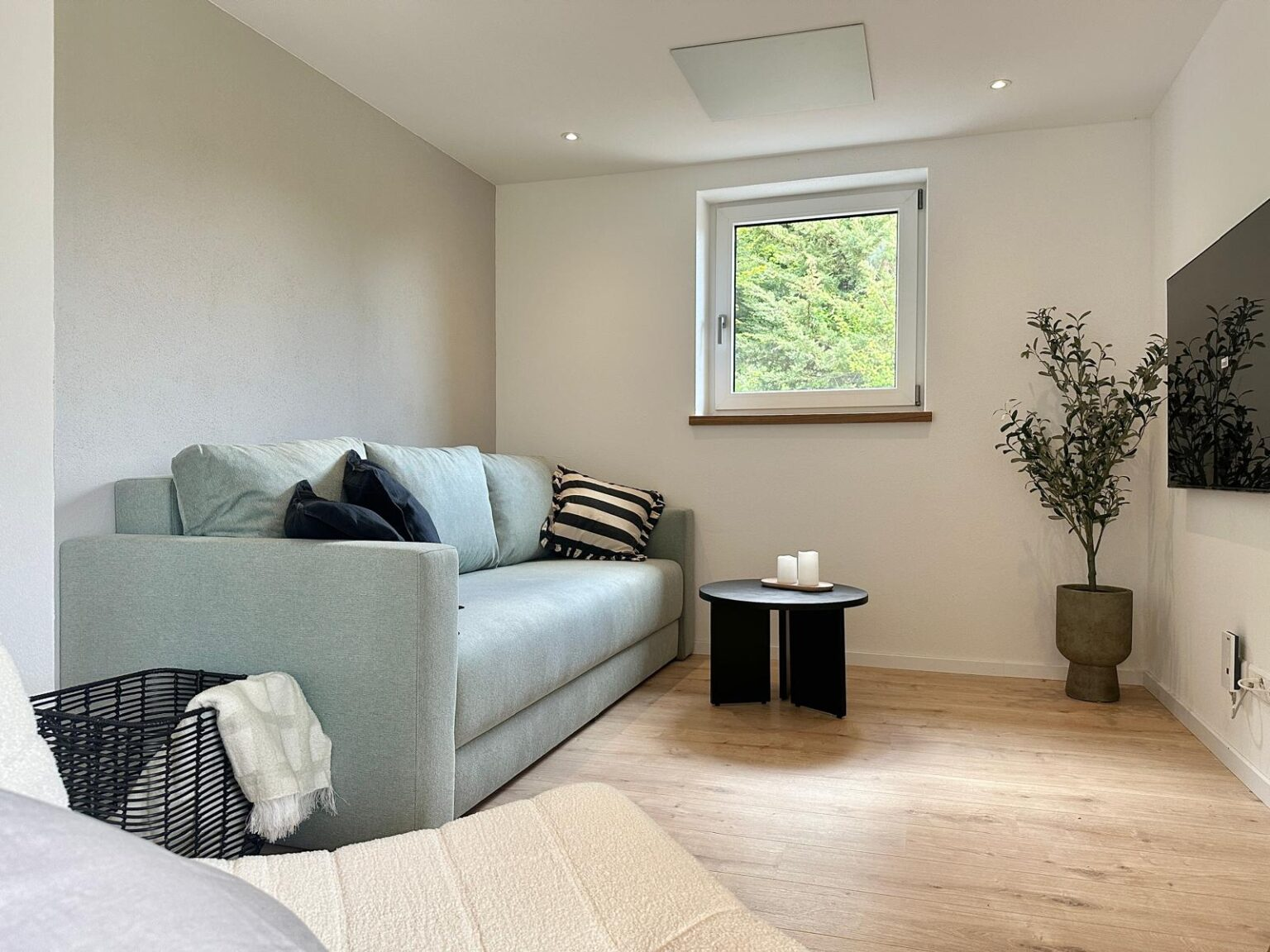 Modernes Schlafsofa in Minzgrün – tagsüber stylishes Sofa, nachts Boxspringbett
